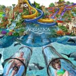 Aquatica SeaWorld Orlando Florida