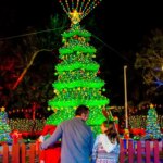 LEGOLAND Family Christmas Tree