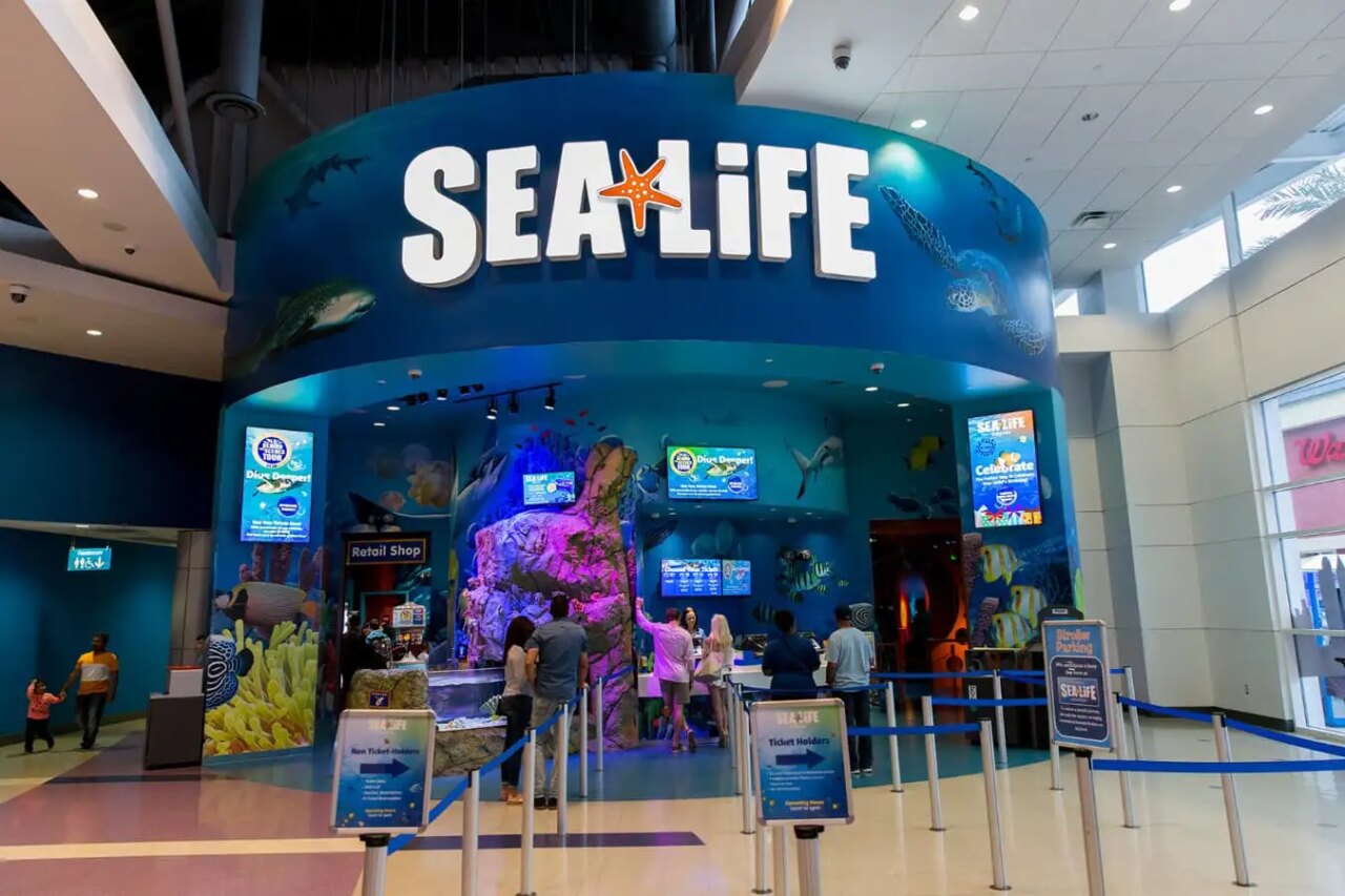 Sea Life Aquarium Orlando