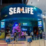 Sea Life Aquarium Orlando
