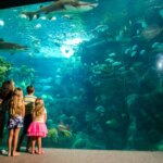 The Florida Aquarium